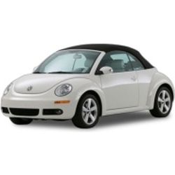 BEETLE 2004-2010